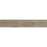 BALDOCER Northwood Elm pavimento 26x160