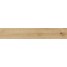 RAGNO Woodtale Miele 20x120