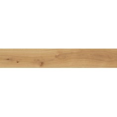ATLAS CONCORDE Exence Almond 20x120