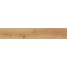 ATLAS CONCORDE Exence Almond 20x120