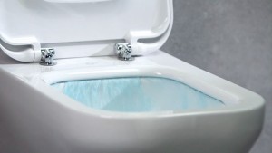 Come rimuovere ruggine e calcare dal water